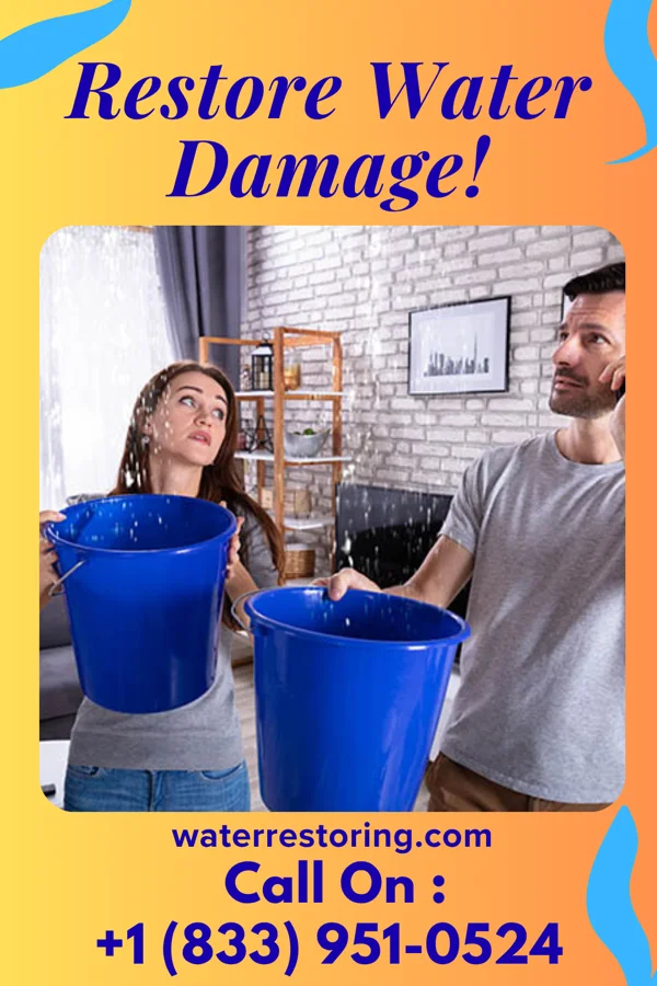 water restoration Best Flood Recovery Specialists Glen Arbor